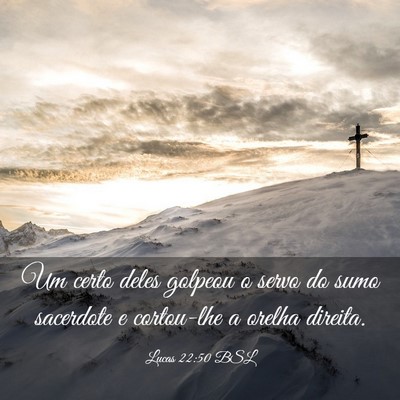 Picture 03 - Lucas 22:50 BSL - Um certo deles golpeou o servo do sumo sacerdote - Bible Verse Picture