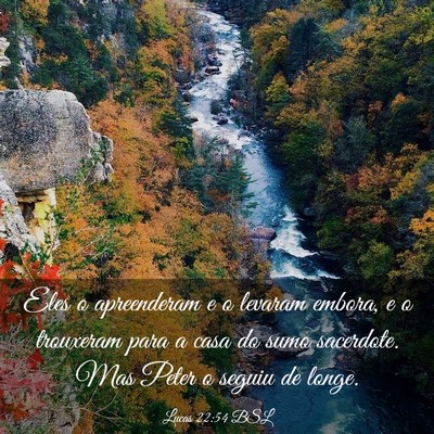 Picture 03 - Lucas 22:54 BSL - Eles o apreenderam e o levaram embora, e o - Bible Verse Picture