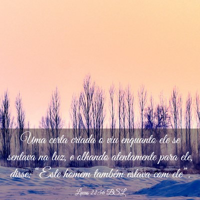 Picture 03 - Lucas 22:56 BSL - Uma certa criada o viu enquanto ele se sentava na - Bible Verse Picture