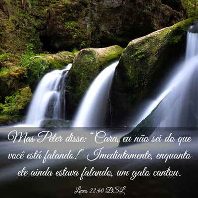 Picture 03 - Lucas 22:60 BSL - Mas Peter disse: “Cara, eu não sei do que - Bible Verse Picture