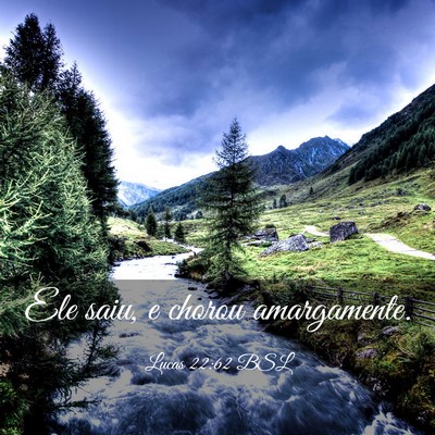 Picture 03 - Lucas 22:62 BSL - Ele saiu, e chorou - Bible Verse Picture