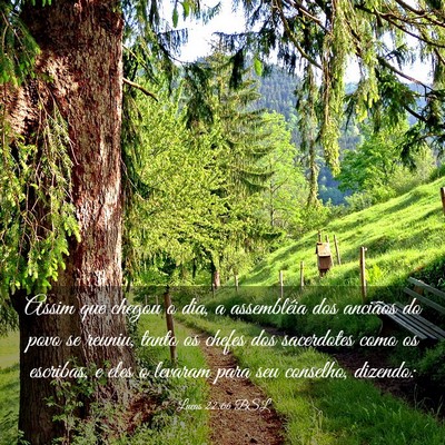 Picture 03 - Lucas 22:66 BSL - Assim que chegou o dia, a assembléia dos - Bible Verse Picture