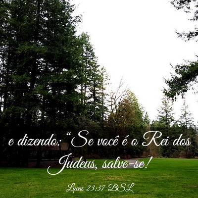 Picture 03 - Lucas 23:37 BSL - e dizendo: “Se você é o Rei dos Judeus, - Bible Verse Picture