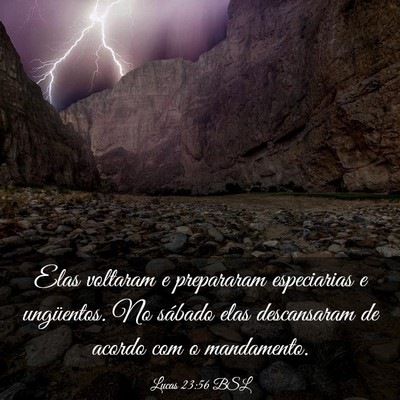 Picture 03 - Lucas 23:56 BSL - Elas voltaram e prepararam especiarias e - Bible Verse Picture