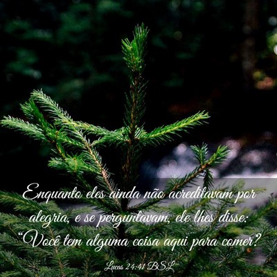 Picture 03 - Lucas 24:41 BSL - Enquanto eles ainda não acreditavam por alegria, - Bible Verse Picture