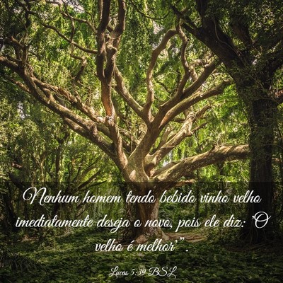 Picture 03 - Lucas 5:39 BSL - Nenhum homem tendo bebido vinho velho - Bible Verse Picture