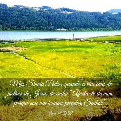 Picture 03 - Lucas 5:8 BSL - Mas Simão Pedro, quando o viu, caiu de joelhos - Bible Verse Picture
