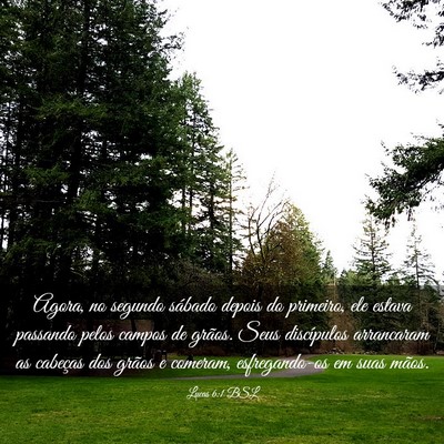 Picture 03 - Lucas 6:1 BSL - Agora, no segundo sábado depois do primeiro, ele - Bible Verse Picture