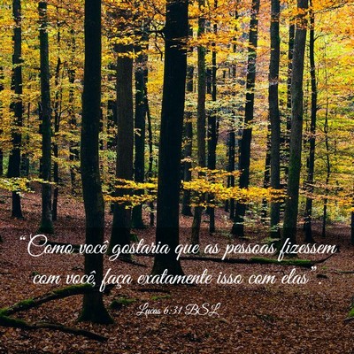 Picture 03 - Lucas 6:31 BSL - “Como você gostaria que as pessoas fizessem - Bible Verse Picture