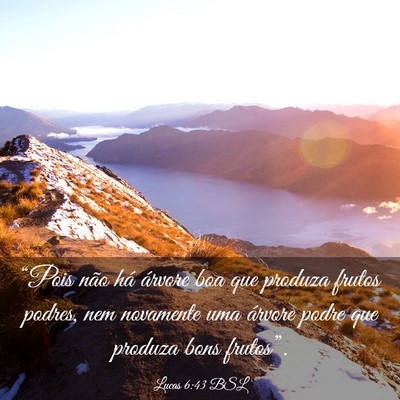 Picture 03 - Lucas 6:43 BSL - “Pois não há árvore boa que produza frutos - Bible Verse Picture