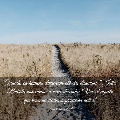 Picture 03 - Lucas 7:20 BSL - Quando os homens chegaram até ele, disseram: - Bible Verse Picture