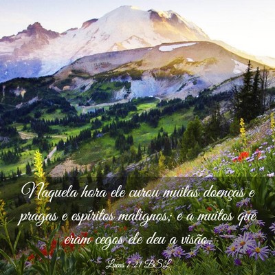 Picture 03 - Lucas 7:21 BSL - Naquela hora ele curou muitas doenças e pragas e - Bible Verse Picture
