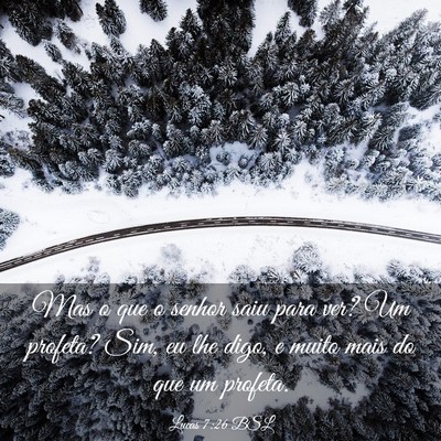 Picture 03 - Lucas 7:26 BSL - Mas o que o senhor saiu para ver? Um profeta? - Bible Verse Picture