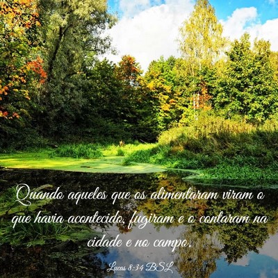 Picture 03 - Lucas 8:34 BSL - Quando aqueles que os alimentaram viram o que - Bible Verse Picture