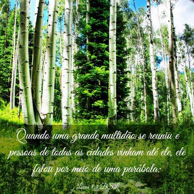 Picture 03 - Lucas 8:4 BSL - Quando uma grande multidão se reuniu e pessoas - Bible Verse Picture
