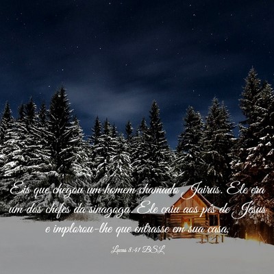 Picture 03 - Lucas 8:41 BSL - Eis que chegou um homem chamado Jairus. Ele era - Bible Verse Picture
