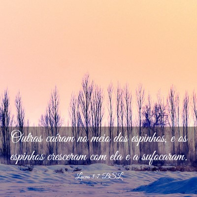 Picture 03 - Lucas 8:7 BSL - Outras caíram no meio dos espinhos, e os - Bible Verse Picture