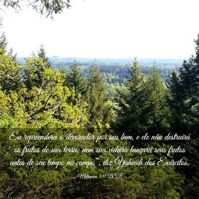 Picture 03 - Malaquias 3:11 BSL - Eu repreenderei o devorador por seu bem, e ele - Bible Verse Picture