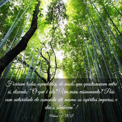 Picture 03 - Marcos 1:27 BSL - Ficaram todos espantados, de modo que - Bible Verse Picture