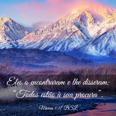 Picture 03 - Marcos 1:37 BSL - Eles o encontraram e lhe disseram: “Todos - Bible Verse Picture