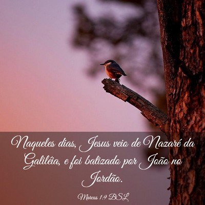 Picture 03 - Marcos 1:9 BSL - Naqueles dias, Jesus veio de Nazaré da - Bible Verse Picture