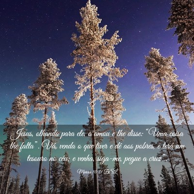 Picture 03 - Marcos 10:21 BSL - Jesus, olhando para ele, o amou e lhe disse: - Bible Verse Picture