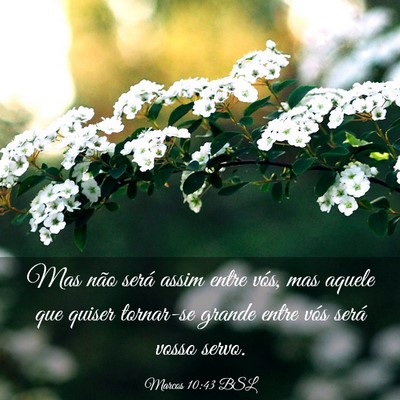 Picture 03 - Marcos 10:43 BSL - Mas não será assim entre vós, mas aquele que - Bible Verse Picture