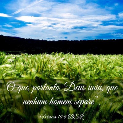 Picture 03 - Marcos 10:9 BSL - O que, portanto, Deus uniu, que nenhum homem - Bible Verse Picture