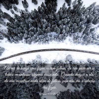 Picture 03 - Marcos 11:13 BSL - Ao ver de longe uma figueira com folhas, ele veio - Bible Verse Picture