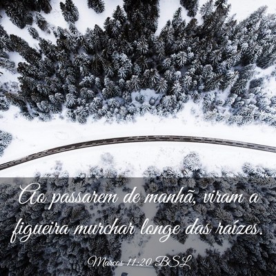 Picture 03 - Marcos 11:20 BSL - Ao passarem de manhã, viram a figueira murchar - Bible Verse Picture