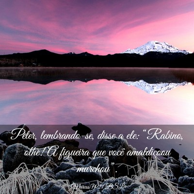 Picture 03 - Marcos 11:21 BSL - Peter, lembrando-se, disse a ele: “Rabino, - Bible Verse Picture
