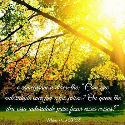 Picture 03 - Marcos 11:28 BSL - e começaram a dizer-lhe: “Com que autoridade - Bible Verse Picture