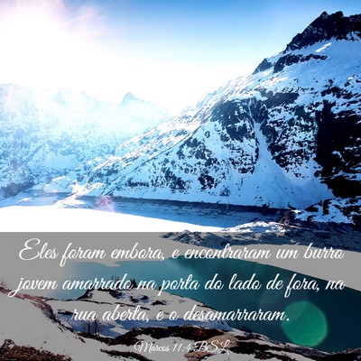 Picture 03 - Marcos 11:4 BSL - Eles foram embora, e encontraram um burro jovem - Bible Verse Picture