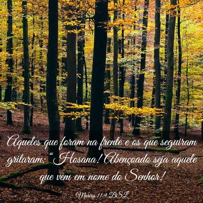 Picture 03 - Marcos 11:9 BSL - Aqueles que foram na frente e os que seguiram - Bible Verse Picture