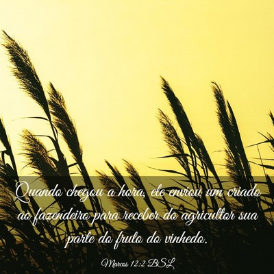 Picture 03 - Marcos 12:2 BSL - Quando chegou a hora, ele enviou um criado ao - Bible Verse Picture