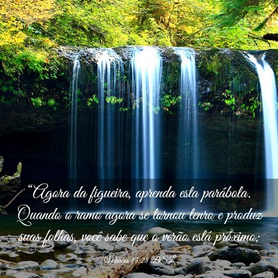 Picture 03 - Marcos 13:28 BSL - “Agora da figueira, aprenda esta parábola. - Bible Verse Picture
