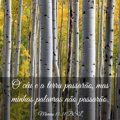 Picture 03 - Marcos 13:31 BSL - O céu e a terra passarão, mas minhas palavras - Bible Verse Picture