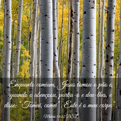 Picture 03 - Marcos 14:22 BSL - Enquanto comiam, Jesus tomou o pão e, quando o - Bible Verse Picture