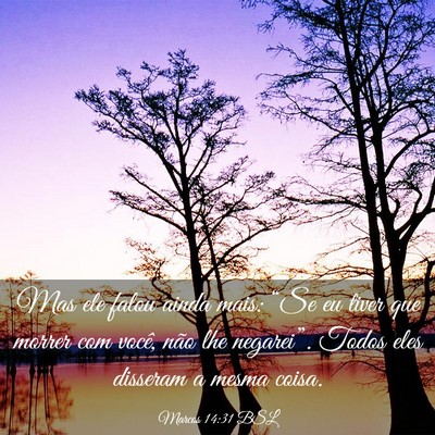Picture 03 - Marcos 14:31 BSL - Mas ele falou ainda mais: “Se eu tiver que - Bible Verse Picture