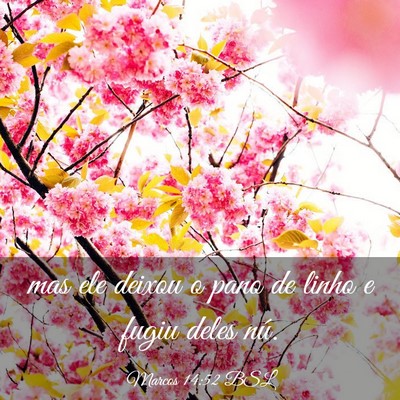 Picture 03 - Marcos 14:52 BSL - mas ele deixou o pano de linho e fugiu deles - Bible Verse Picture