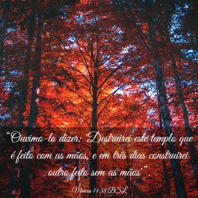 Picture 03 - Marcos 14:58 BSL - “Ouvimo-lo dizer: 'Destruirei este templo que - Bible Verse Picture
