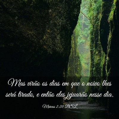 Picture 03 - Marcos 2:20 BSL - Mas virão os dias em que o noivo lhes será - Bible Verse Picture