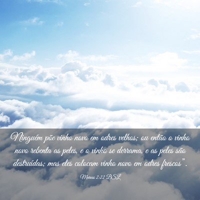 Picture 03 - Marcos 2:22 BSL - Ninguém põe vinho novo em odres velhos; ou - Bible Verse Picture