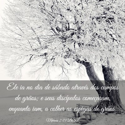 Picture 03 - Marcos 2:23 BSL - Ele ia no dia de sábado através dos campos de - Bible Verse Picture