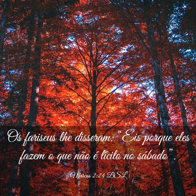 Picture 03 - Marcos 2:24 BSL - Os fariseus lhe disseram: “Eis porque eles - Bible Verse Picture