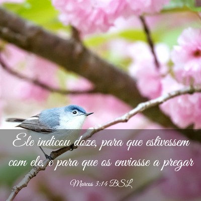 Picture 03 - Marcos 3:14 BSL - Ele indicou doze, para que estivessem com ele, e - Bible Verse Picture