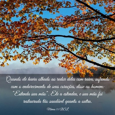 Picture 03 - Marcos 3:5 BSL - Quando ele havia olhado ao redor deles com raiva, - Bible Verse Picture