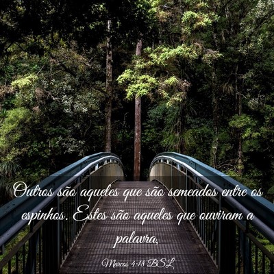 Picture 03 - Marcos 4:18 BSL - Outros são aqueles que são semeados entre os - Bible Verse Picture