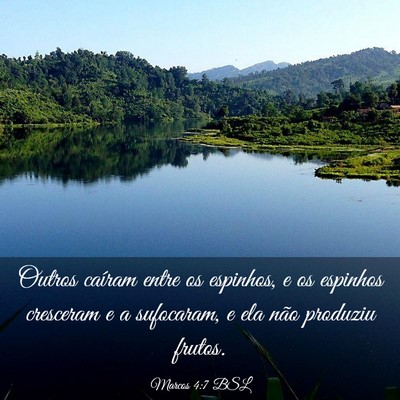 Picture 03 - Marcos 4:7 BSL - Outros caíram entre os espinhos, e os espinhos - Bible Verse Picture