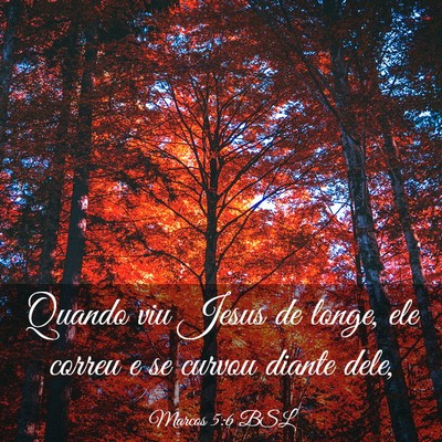Picture 03 - Marcos 5:6 BSL - Quando viu Jesus de longe, ele correu e se curvou - Bible Verse Picture